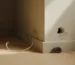 Bas de mur intérieur neutre montrant des signes d’infestation de rongeurs, tels qu’un excrément de rat et un câble rongé, éléments clés liés à la dératisation.